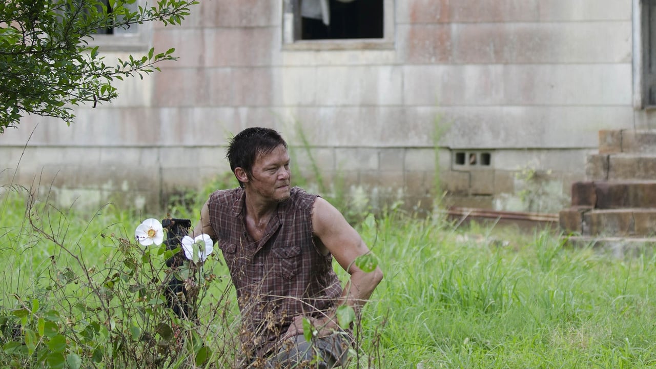 Image The Walking Dead