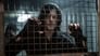 Image The Walking Dead: Daryl Dixon